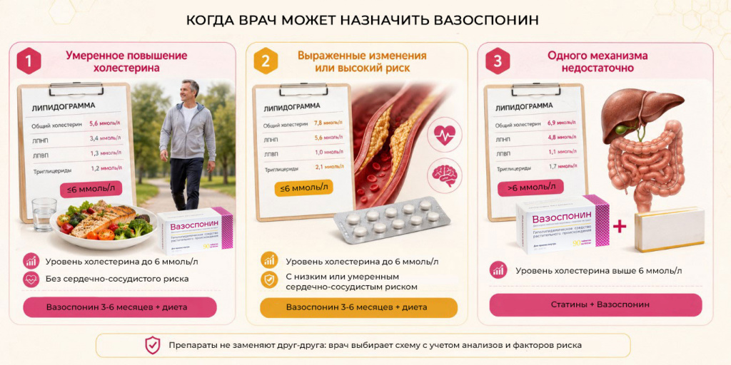 когда-врач-может-назначить-Вазоспонин